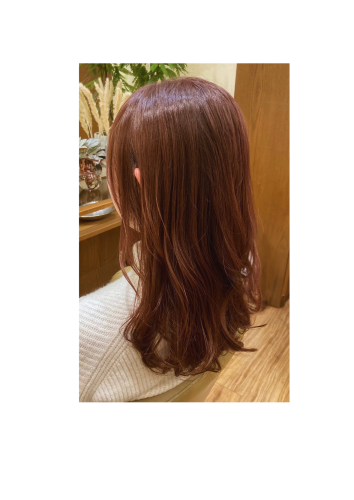 光に透けるラベンダーピンク