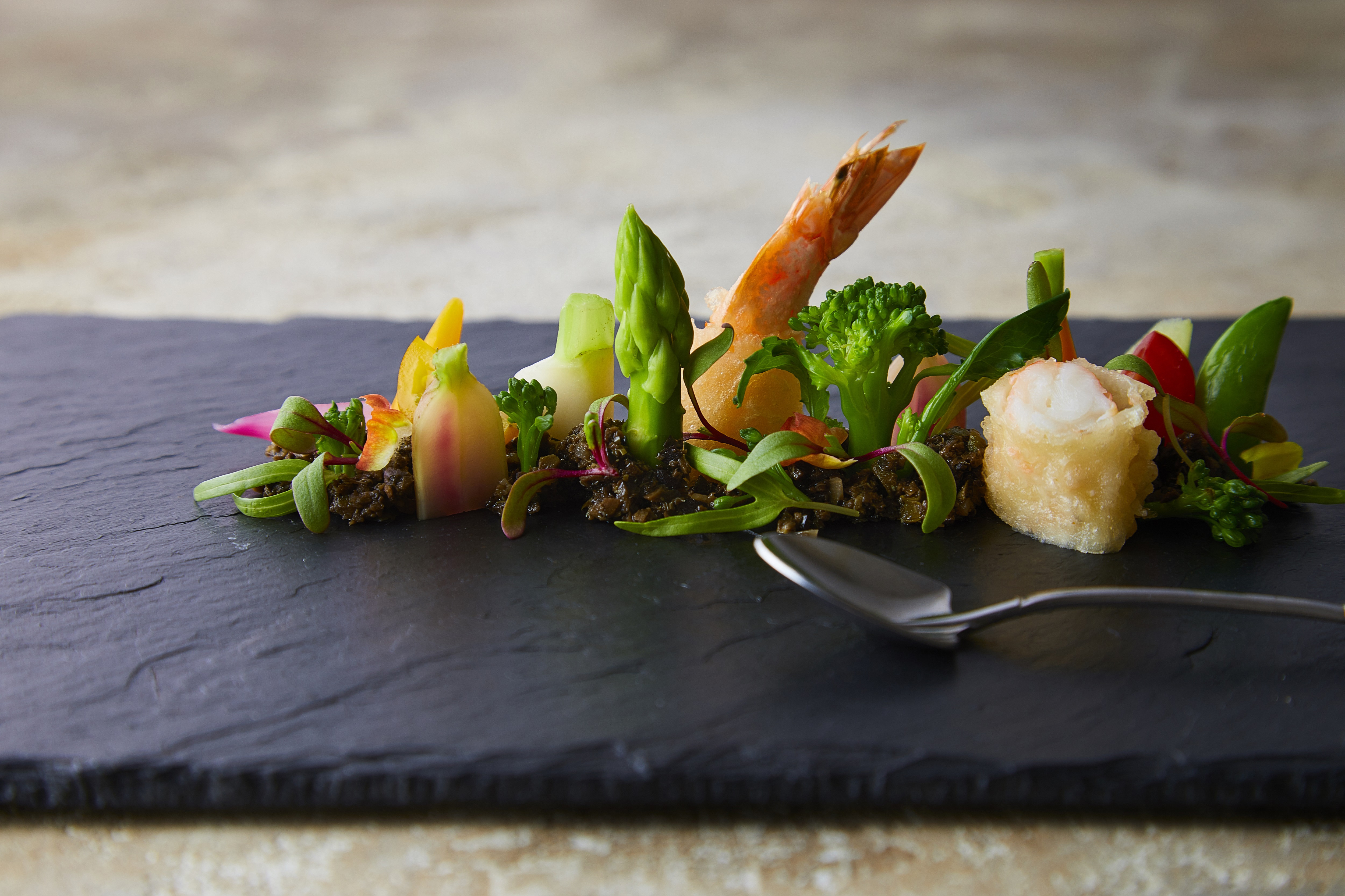 January Lunch　【2日間限定/1月○・○日】