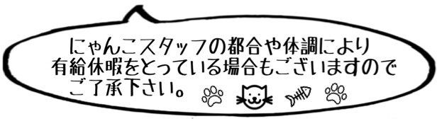 にゃんこ体調