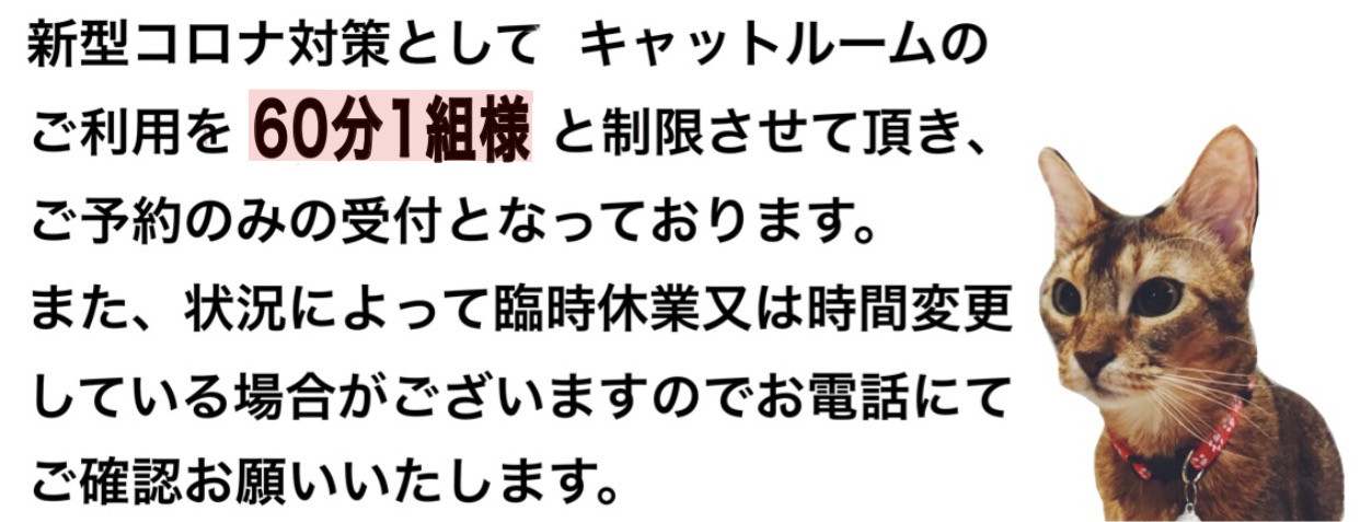コロナ対策