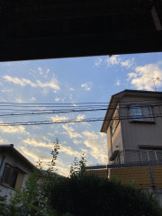 793F87DF-A5A9-4123-919C-B75672EF0474.jpeg