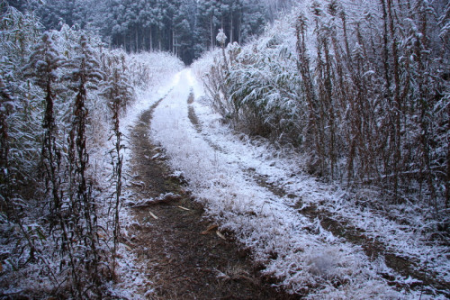 ⑩粉雪の道 (2).JPG