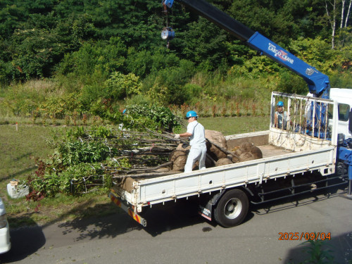 P9042162.JPG