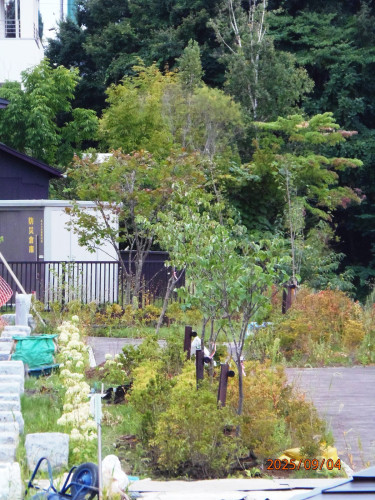 P9042164.JPG
