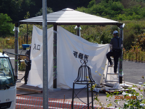 P9052167.JPG