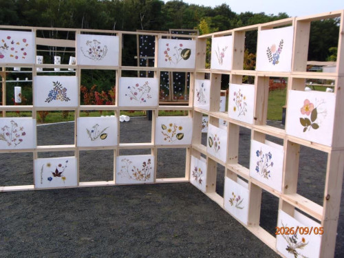 P9052370.JPGa.JPG