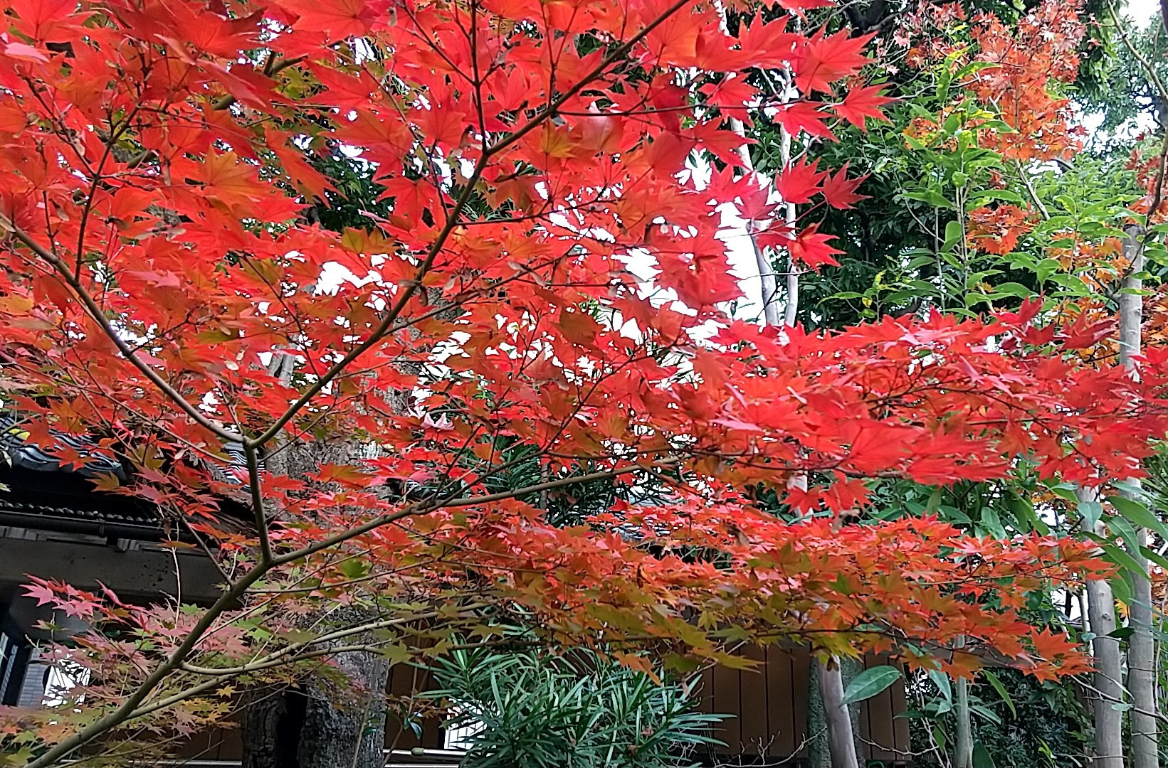 年末年始のお知らせ