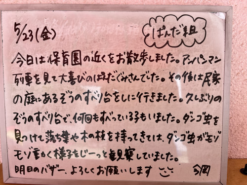 IMG_1537.jpeg