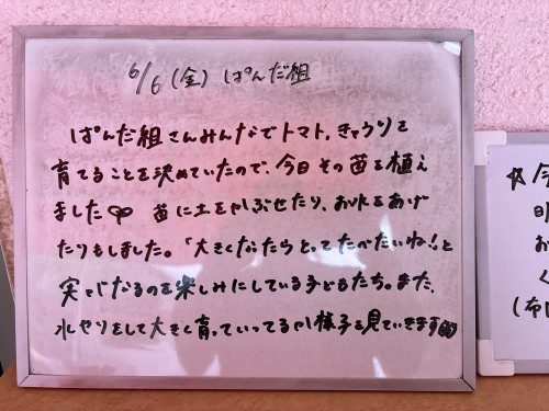 IMG_1675.jpeg