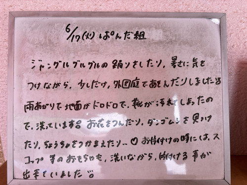 IMG_1977.jpeg