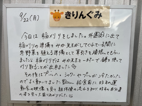 IMG_3153.jpeg
