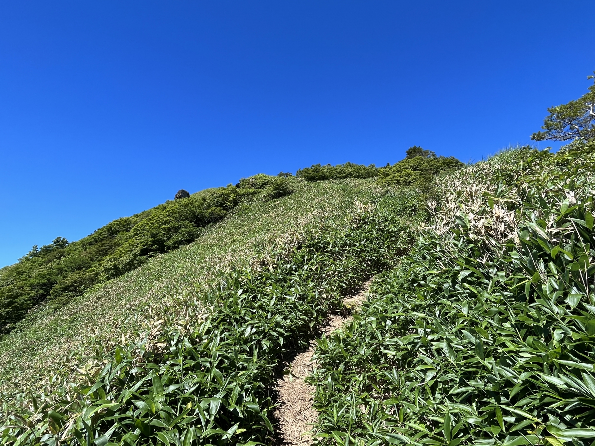 ８月１１日日曜日山の日、８月１２日月曜日、山の日の振り替え休日は通常通り営業いたします。