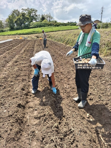 じゃがいも植えをしました🥔