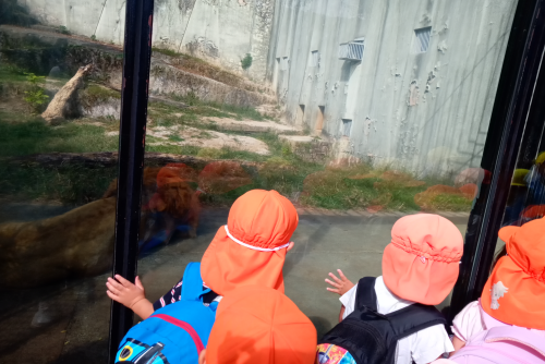動物園た.png