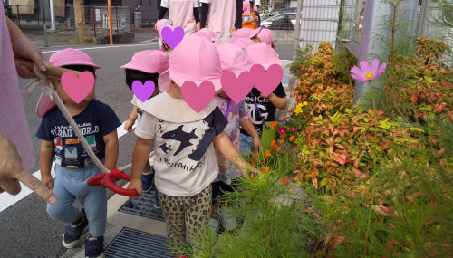 あひる.JPG