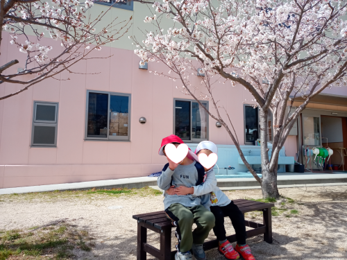 hanami.png