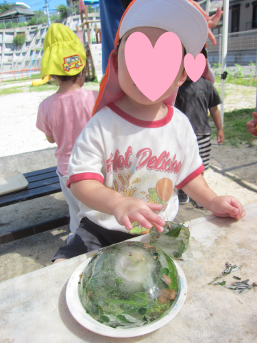 IMG_3392.png