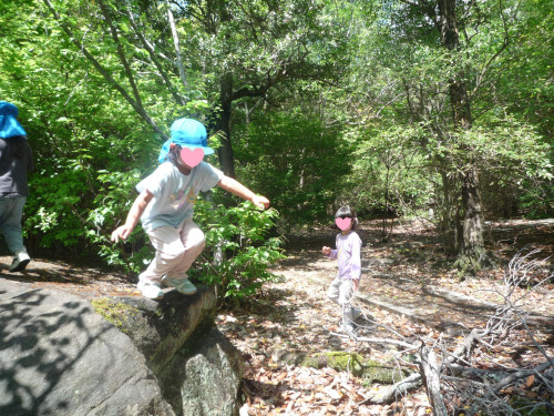 P1130227.JPG