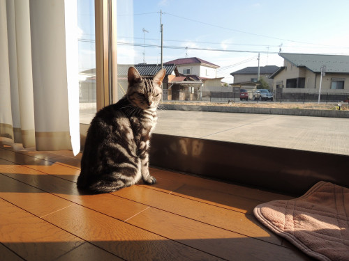 DSCN1653.jpg