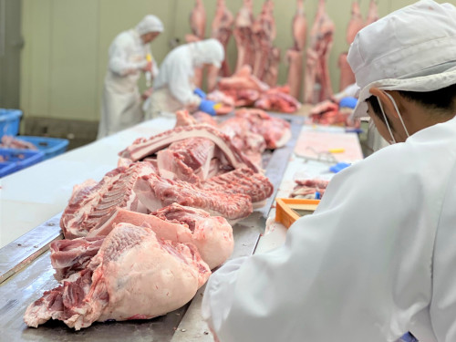 弘輝さんによる脱骨