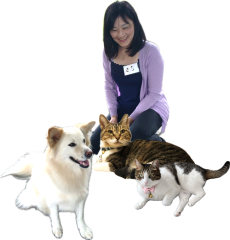 ｈｐ写真1.png