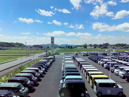7月になりました☀️