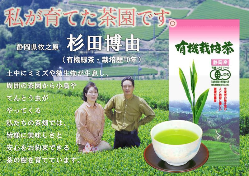 新商品「有機栽培茶」