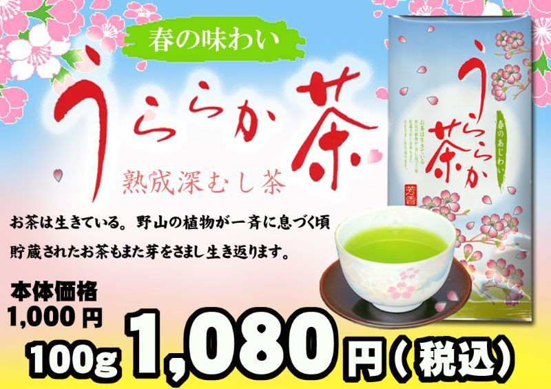 春の訪れを感じるお茶「うららか茶」季節限定商品・静岡県掛川産