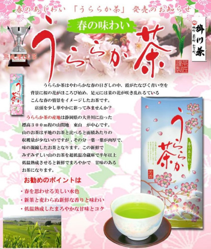 春をイメージしたお茶「うららか茶」低温熟成・掛川産深むし煎茶