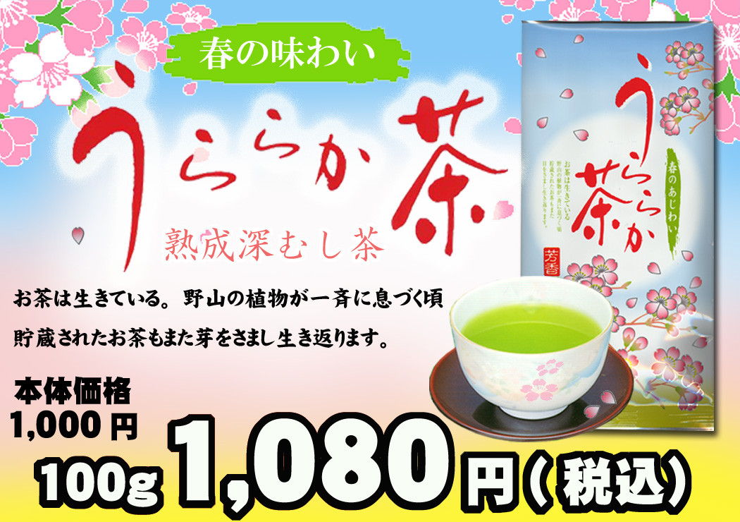 鮮度よい春のお茶「うららか茶」静岡・掛川産深むし煎茶
