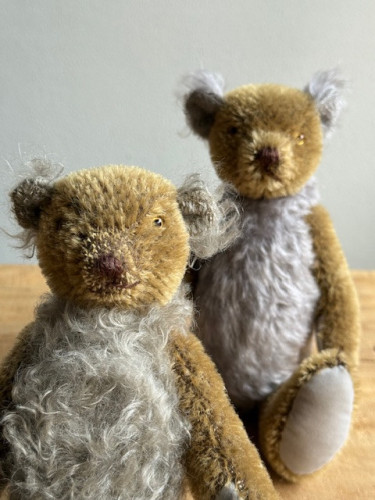 The Dandelion Press Bear 外間宏政テディベア 展 + 出張喫茶 Violon 2025