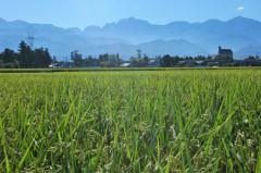 12-8-22-tateyamarennpou 027.jpg