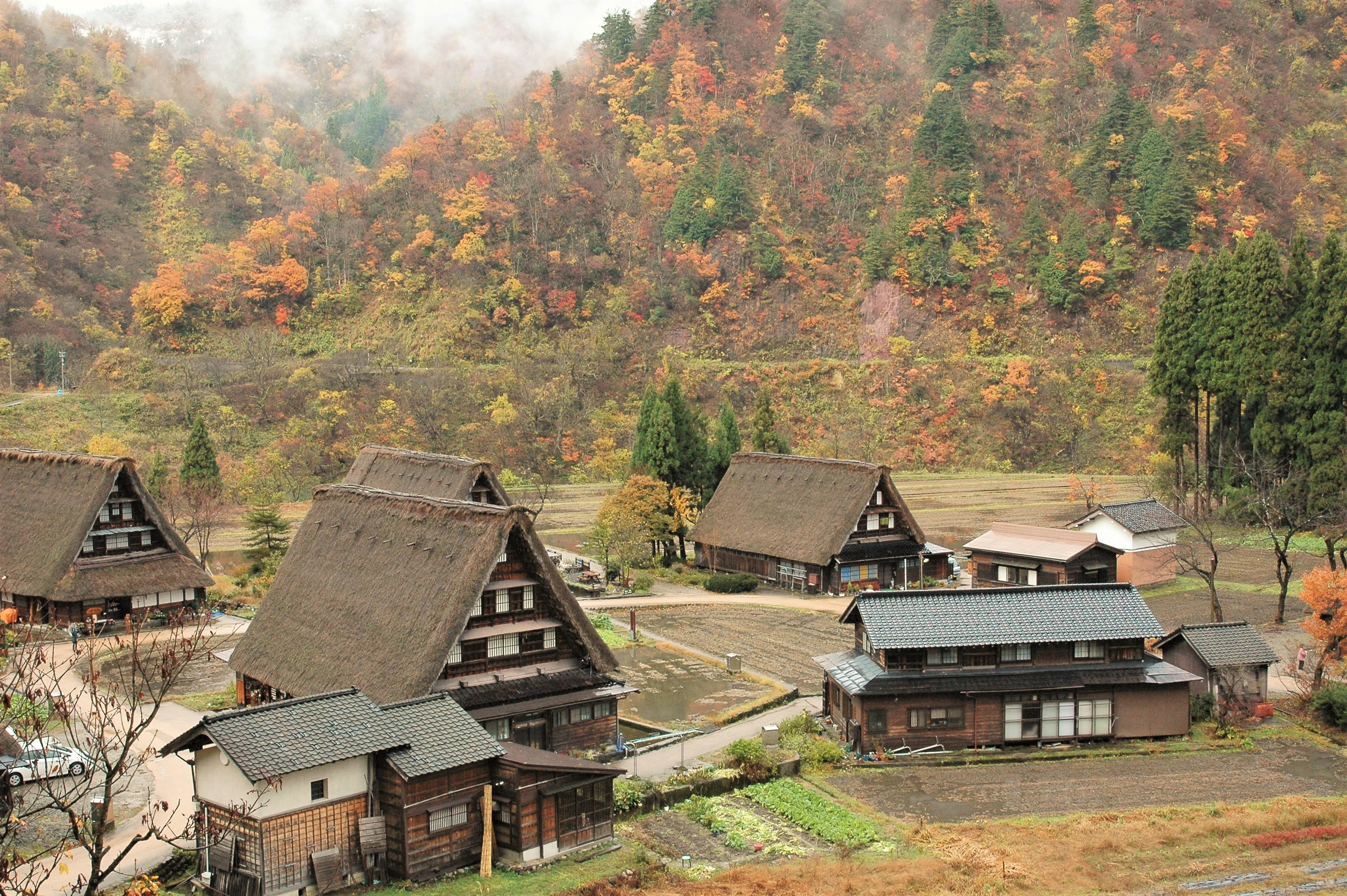11-11-21-kennroku-gokayama 039.jpg