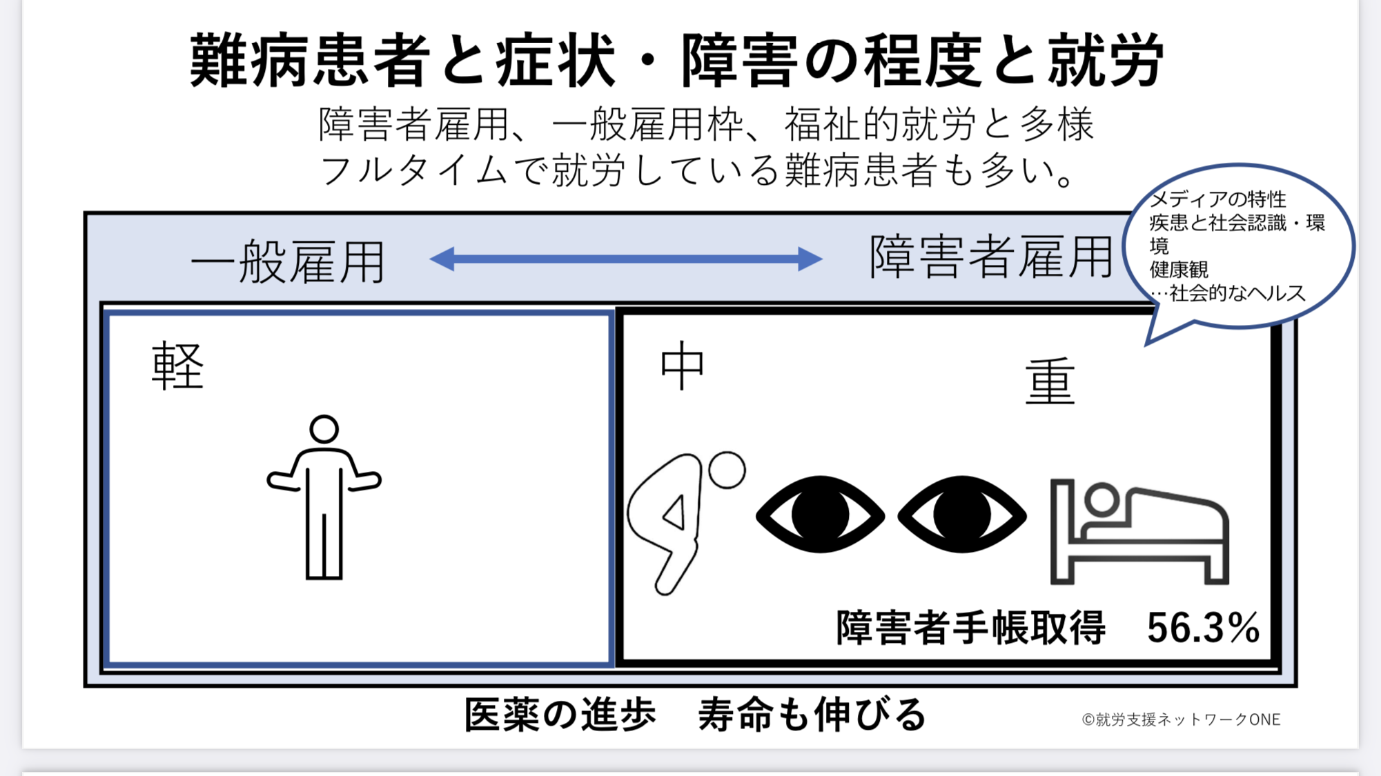 障害 者 総合 支援 安い 法 難病 手帳