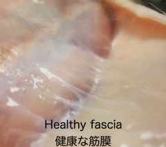 2FAD686D-49AD-4F9C-BA45-84EA5B245083.jpeg