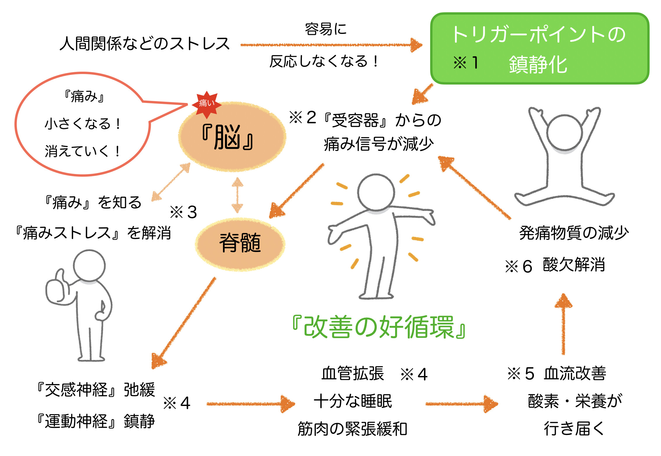 陰茎の痛みの治療法の選択肢