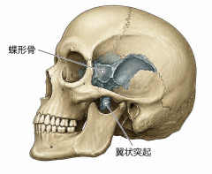 03E037B5-91D1-40C5-94C7-3B28831FEEC8.jpeg
