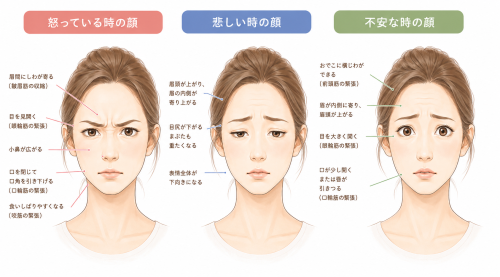 C4242C22-76B5-4A97-ADD9-CD0E6088B95A.png