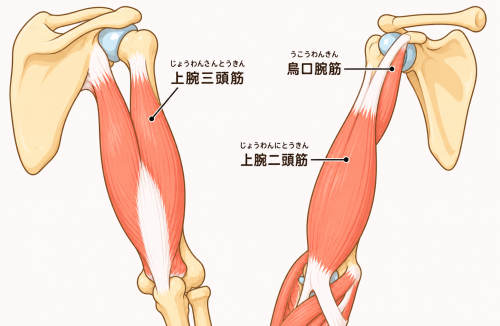 EF3CB262-0C19-47B3-A3C6-A9B94F9B209D.png