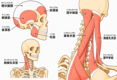 21C24E1A-B717-46C6-ACD1-DD1B5B969AB0.png