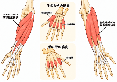 CAF4AD56-C445-424B-8387-18386AEC0522.png