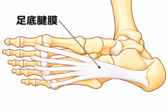 7853EB85-F09C-4459-AA41-280AE49014BA.png