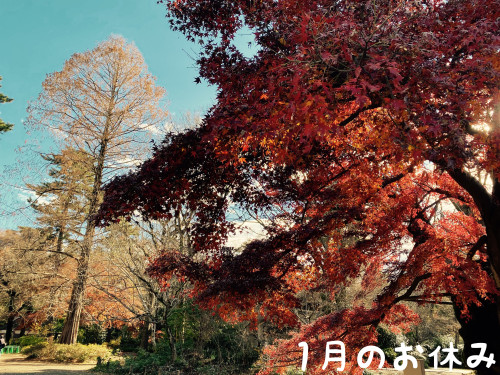 1月のお休み