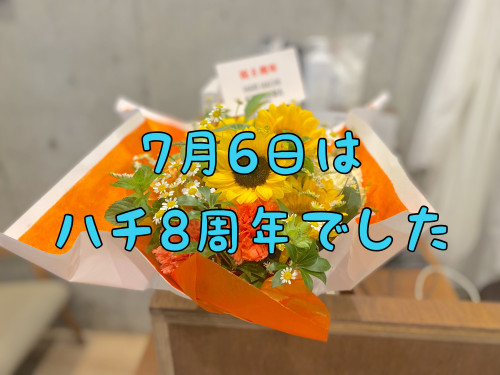 ハチ８周年