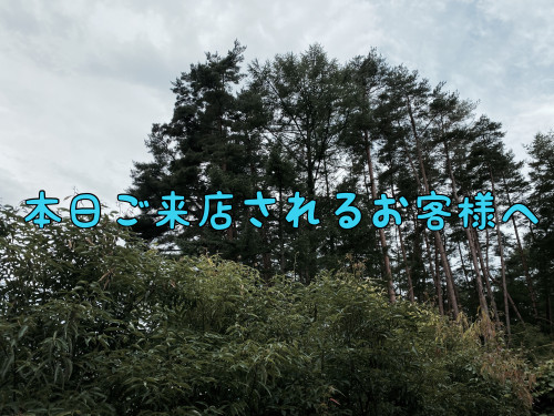 本日ご来店されるお客様へ