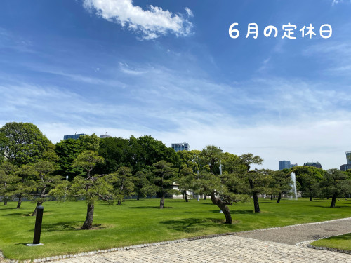 ６月の定休日