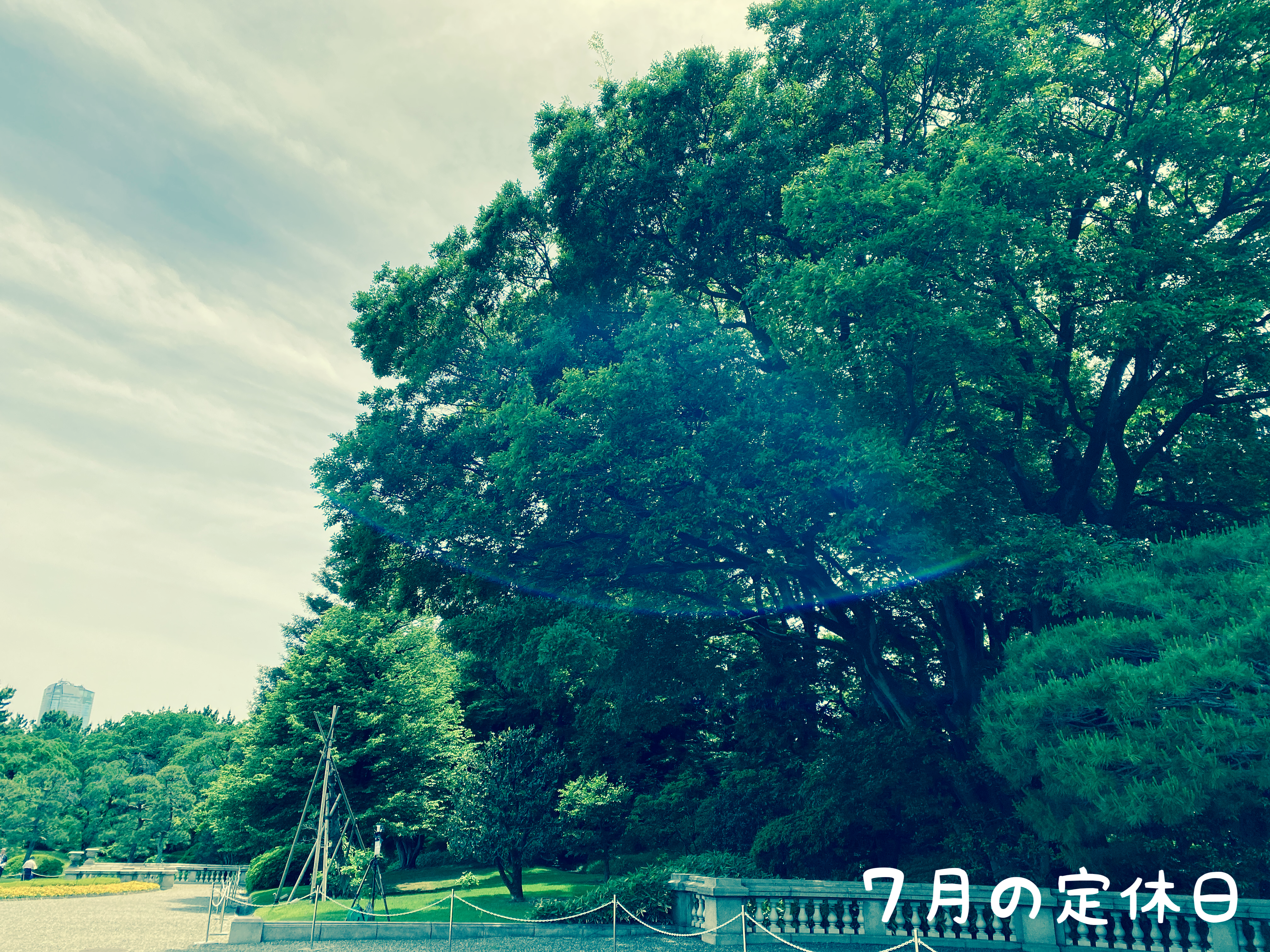 ７月のお休み
