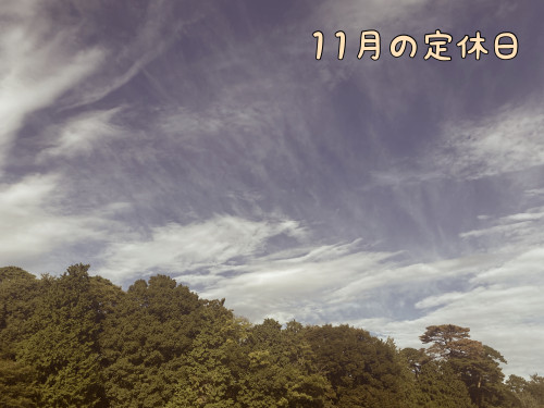 １１月の定休日