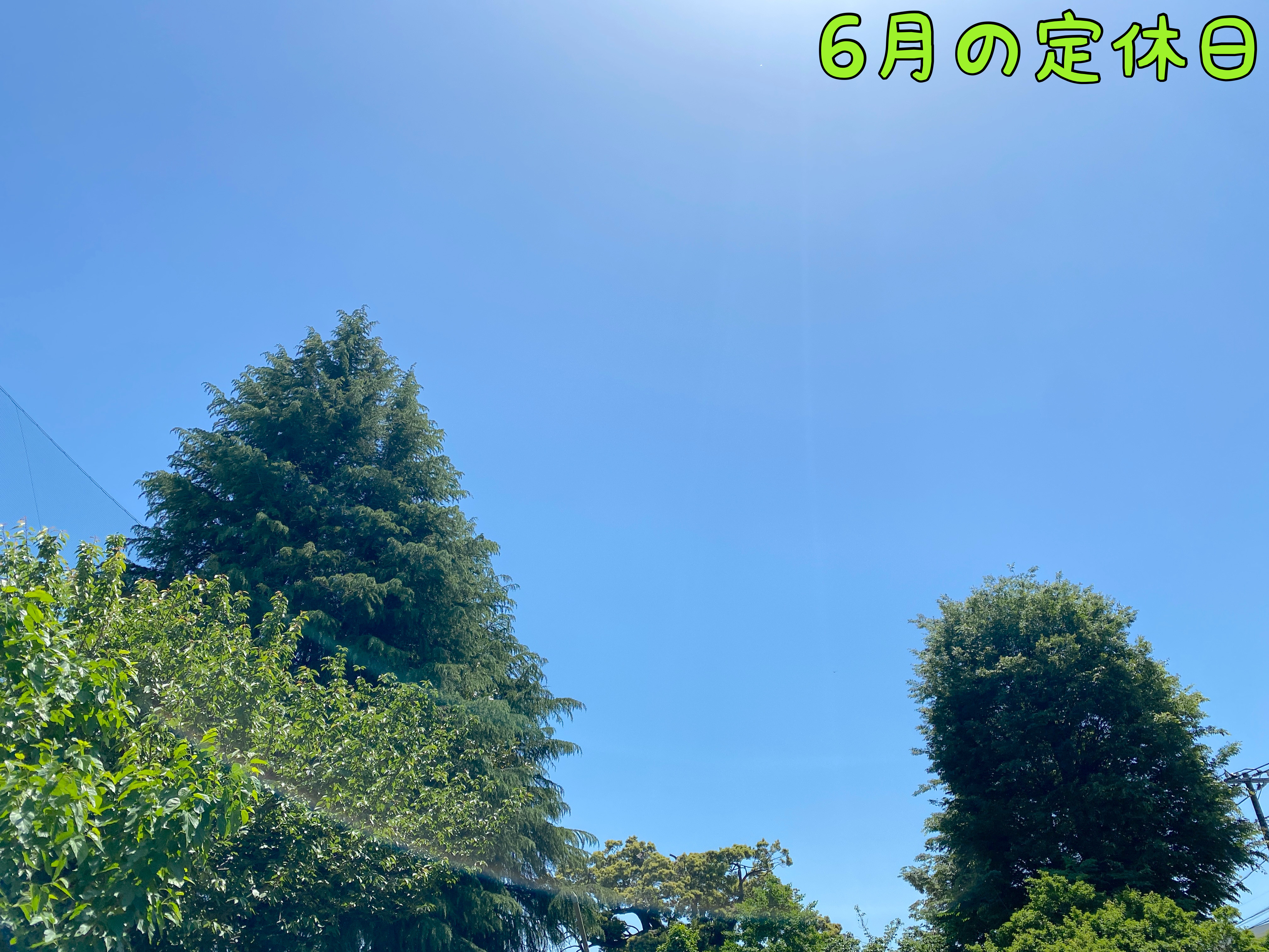 6月定休日のお知らせ