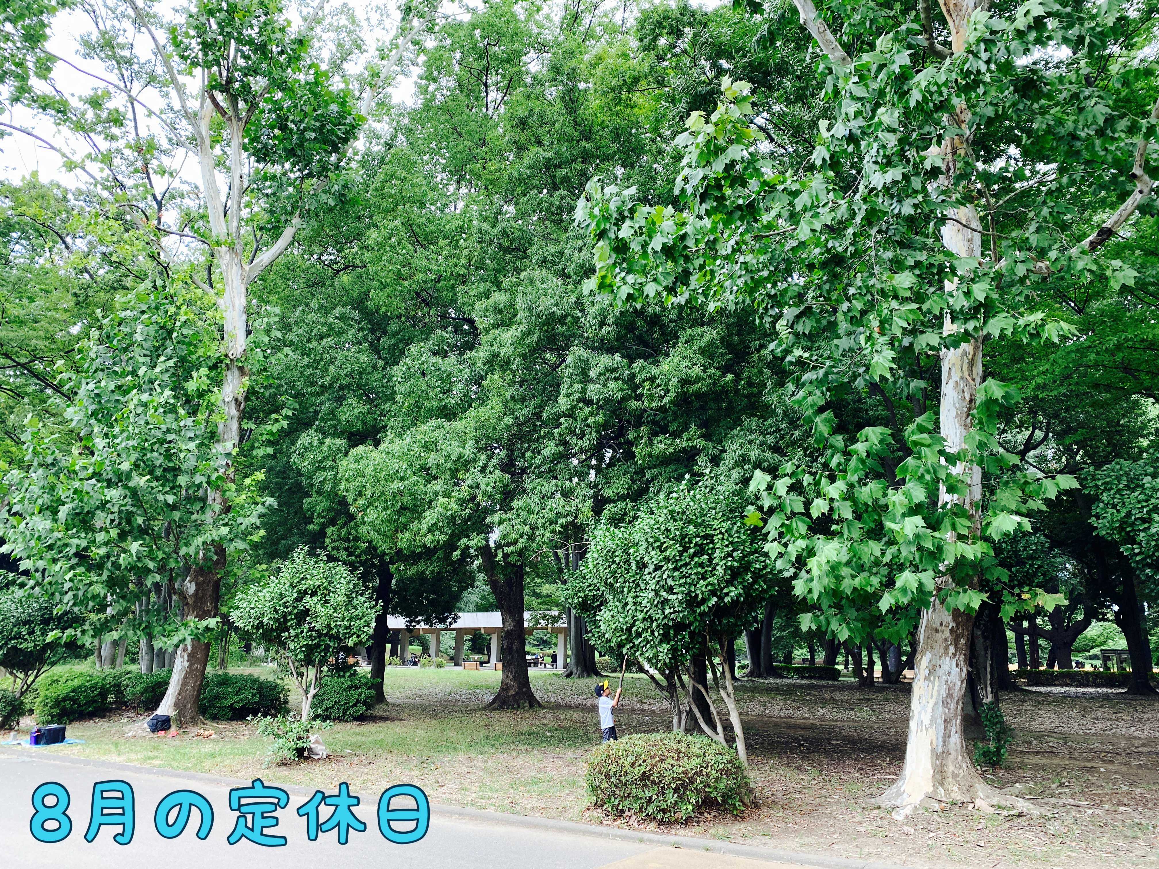 8月の定休日